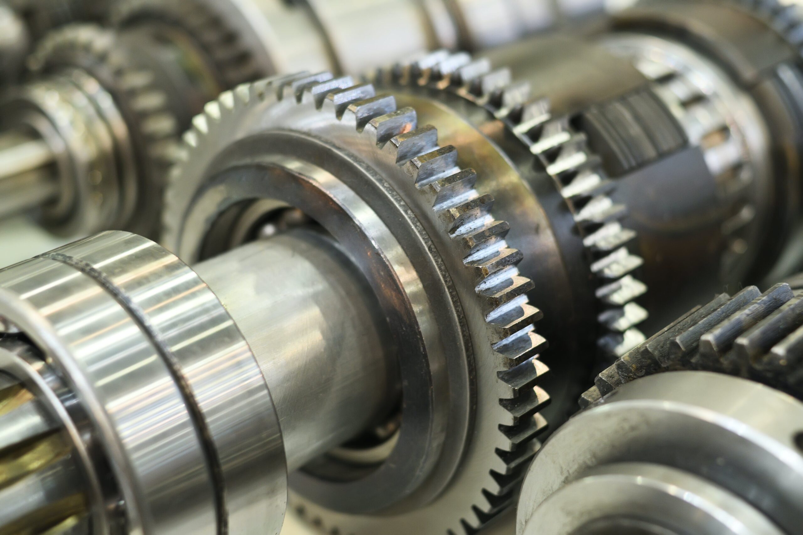 The Quarterly Special | Volume 2 Issue 1